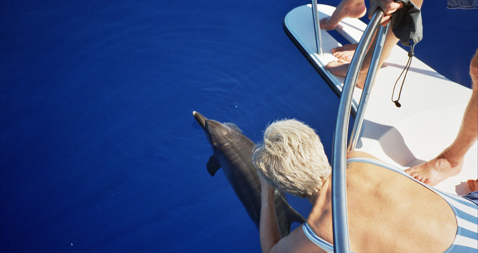 Nage avec les Dauphins à Nosy Be