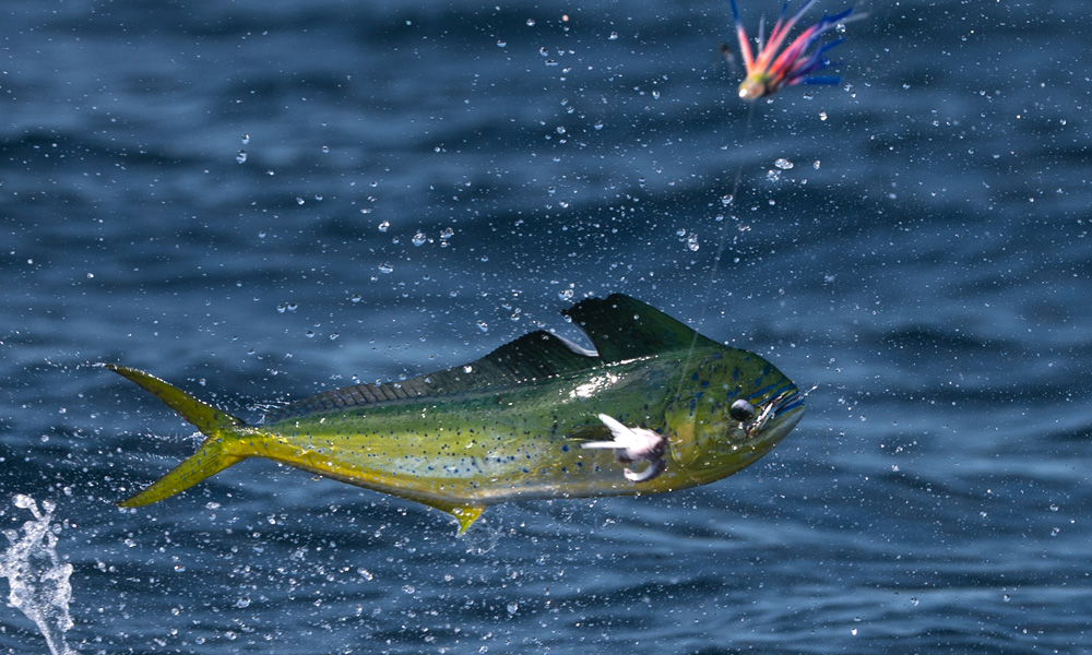 Pêche au Gros à Nosy Be - Madagascar