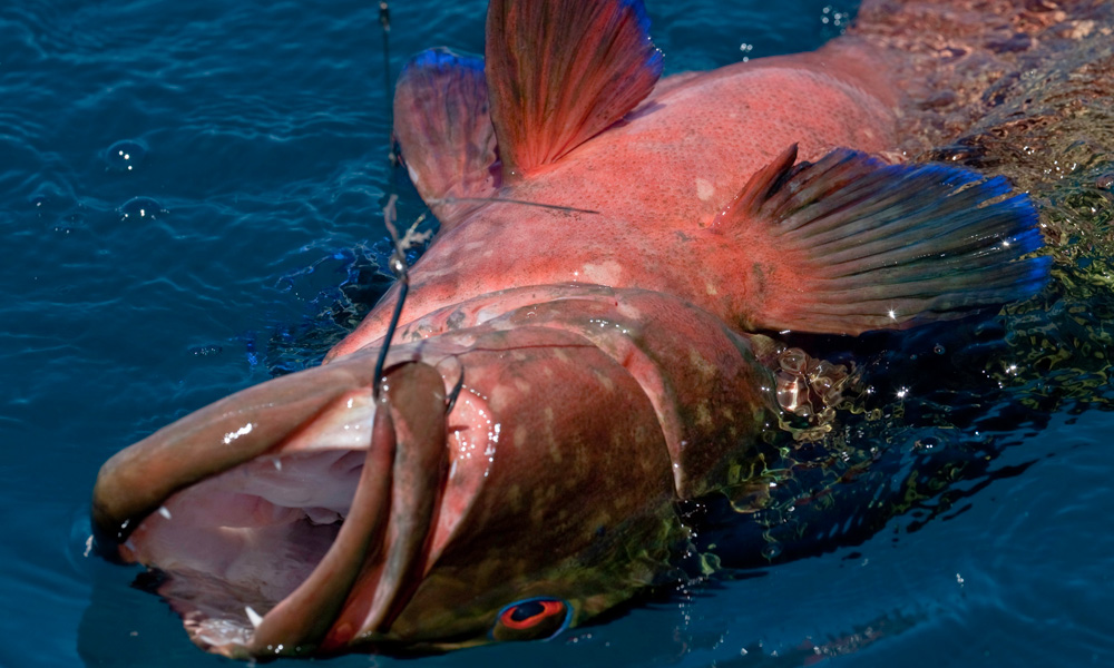 Pêche au Gros à Nosy Be - Madagascar