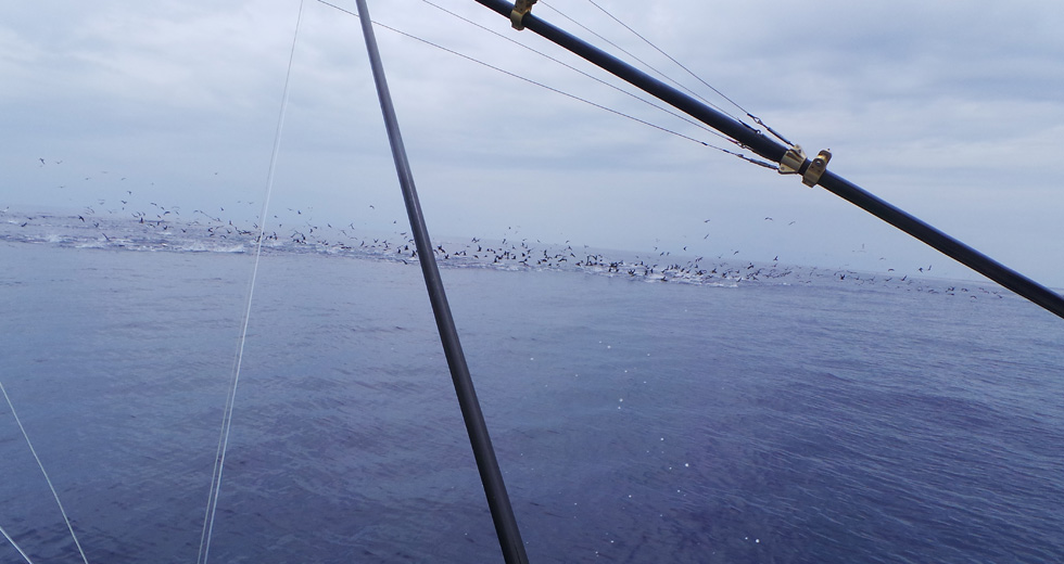 Pêche au Gros à Nosy Be - Madagascar